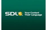 SDL: Intelligent Machine Translation