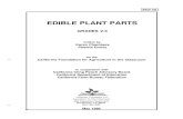 Edible Plant Lesson Plan