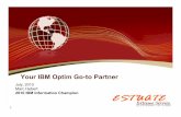 Estuate IBM Optim July 2010