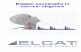 Doppler Sonographie US