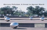 Mercury Pollution a Threat to Agusan Marsh
