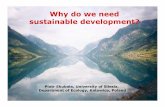 Why Do We Need Sustainable Development