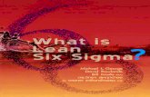 What is Lean 6 Sigma - THAI Version Sample