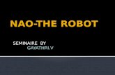 Nao the Robot