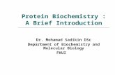 Lecture 3 Protein Biochemistry