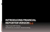 Introducing Financial Reporter