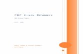 ERP Human Resource - BIS
