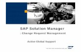 SAP Sol Mgr Change Request Management