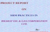 Project Report of HR