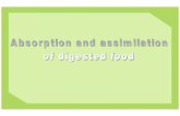 6.5 Absorption and Assimilation of Digested Food