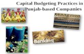 Capital Budgeting Analysis - Industries in Punjab