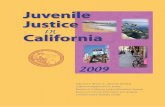 Jerry Brown's 2009 Juvenile Injustice