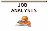 Job Analysis- Final