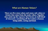 What Are Human Values -PPT