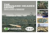 The Thousand-Headed Snake - Telapak-EIA Forests Report 2007 (ENG)