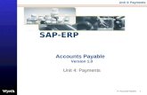 SAP Accounts Payable Payment  |