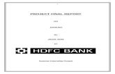 Hdfc Bank Summer Report