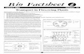 82 - Transport in Plants