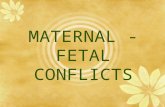 Maternal Fetal Conflicts