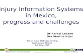 Subsecretaría e Innovación y Calidad Dirección General de Información en Salud Injury Information Systems in Mexico, progress and challenges ICE on Injury.