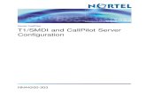 T1SMDI and CallPilot Server Configuration