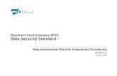 PCI DSS v 1.2