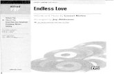 Glee - Endless Love.pdf