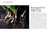 Local Palate Magazine: "Ramping Up for Spring" by Chef William Dissen