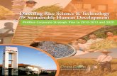 PhilRice Corporate Strategic Plan 2010-2013-2020