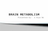Brain Metabolism lecture