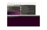 Tutorial How to Install CSP on Ubuntu Server