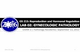 [OS 215] LAB02 Gynecologic Pathology