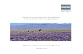 Value Chain Governance and Gender: Saffron Production in Afghanistan