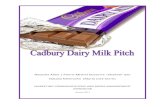 46801673 Cadbury Dairy Milk Report