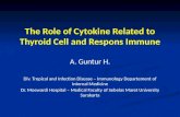 The Role of Cytokines Related to Thyroid Cell and Response Immune (Fix)