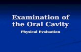 Examination of the Oral Cavity2