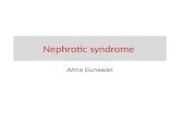 Nephrotic syndrome in adult (bahan kuliah).pptx