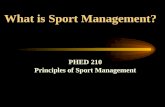 What is Sport Management