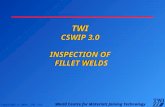 TWI CSWIP 3.0 Inspection of Fillet Welds