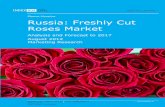 Russia Freshly Cut Roses Market