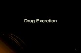 - Drug Excretion- Feb 2012 - 07