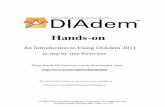 Diadem Version 2011 Hoe