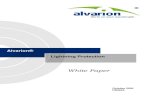 Alvarion Lightning Protection White Paper 051009 R45