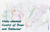 Meta-Chemical Control of Brain and Behaviour