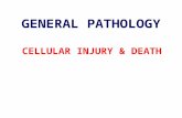 Cellular Injury & Death.ppt