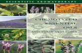 Aromatherapy chemotyped oils