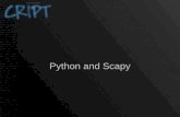 Python Scapy