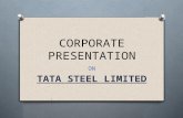 financial statement presentation on tata steel
