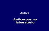 Aula3 Anticorpos no laboratório. Anticorpos Antigénio-Anticorpo.