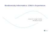 Biodiversity Informatics: CRIAs Experience Dora Ann Lange Canhos dora@cria.org.br.